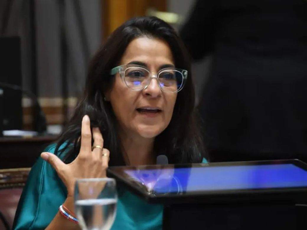 carolina-moises-senadora-nacional-por-jujuy-del-interbloque-conviccion-federal-2032525