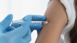 enfermedad viral20250529