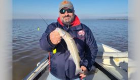 2905_PESCA