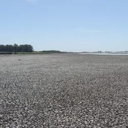 Las lluvias que se reiteraron durante los primeros meses del año favorecieron para la recuperación de varias lagunas. 
