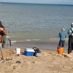 Las heladas comienzan a bajar la temperatura del agua y eso puede afectar al pejerrey que, por debajo de los 10° C, baja su actividad. 