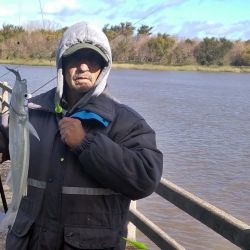 Las heladas comienzan a bajar la temperatura del agua y eso puede afectar al pejerrey que, por debajo de los 10° C, baja su actividad. 