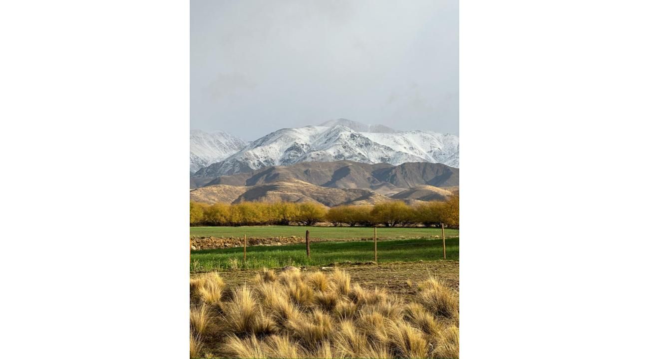 Mendoza: el paraíso donde el amor brinda con Malbec.