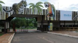 Cerraron en zoológico de Brasilia ante la presencia de casos sospechosos de gripe aviar