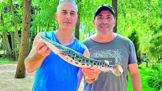 3005_PESCA