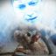 SIDE intelligence services: from the sewers to the forces of heaven