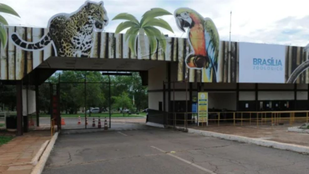 Cerraron en zoológico de Brasilia ante la presencia de casos sospechosos de gripe aviar