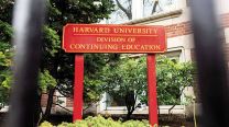 Harvard en la mira de Trump: silencio o castigo
