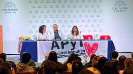 310525_protesta_hospital_garrahan_diputados_fit_g
