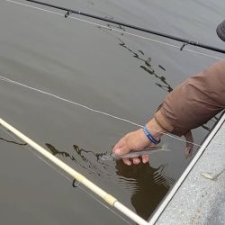 Aún falto de frío, este ámbito se presenta con un pejerrey muy disperso en distintas profundidades, siendo muy difícil ubicar una línea de pique constante. 