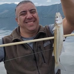 Aún falto de frío, este ámbito se presenta con un pejerrey muy disperso en distintas profundidades, siendo muy difícil ubicar una línea de pique constante. 