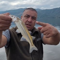 Aún falto de frío, este ámbito se presenta con un pejerrey muy disperso en distintas profundidades, siendo muy difícil ubicar una línea de pique constante. 