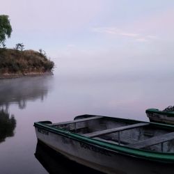 No apareció el pejerrey de calidad, pero hay actividad de chicos a medianos. Muchos bagres y dientudos.