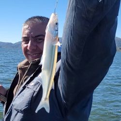No apareció el pejerrey de calidad, pero hay actividad de chicos a medianos. Muchos bagres y dientudos.