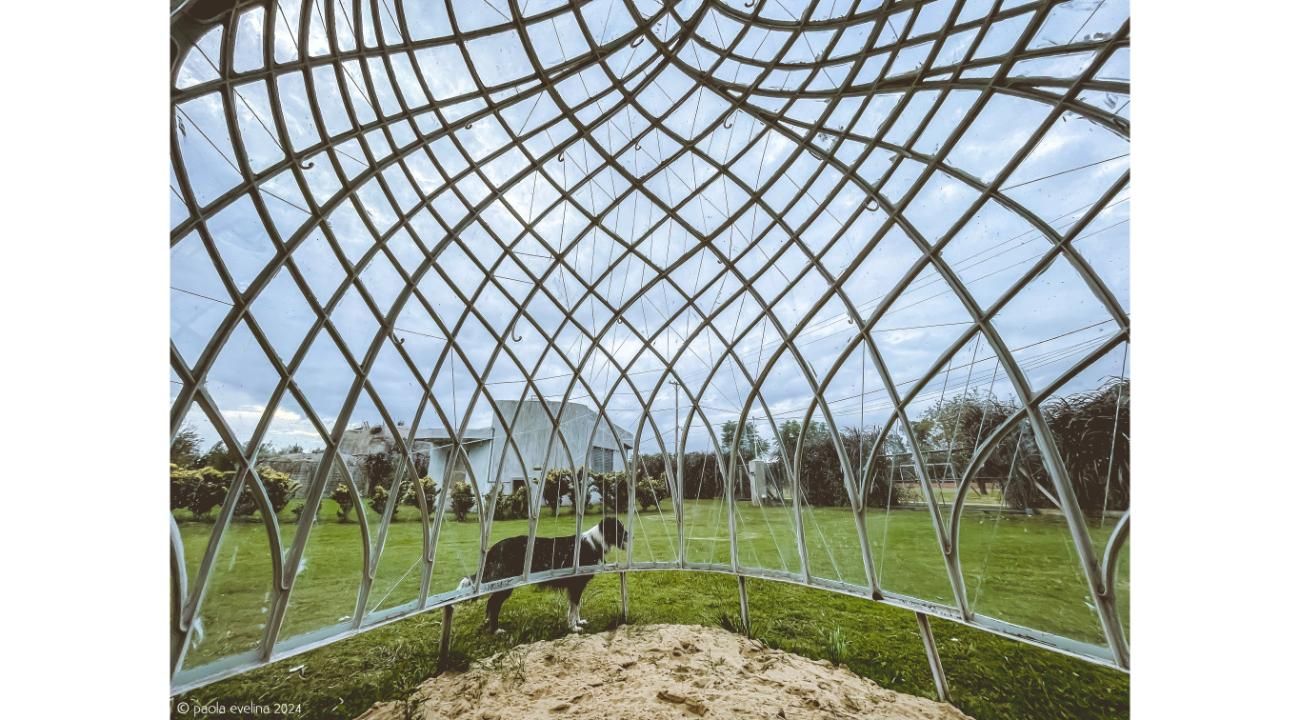 CONCEBIR HOGARES: JUAN PABLO GONDAR Y UNA MIRADA VITAL SOBRE LA ARQUITECTURA.