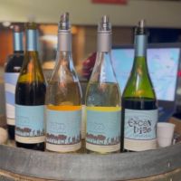Descorche: vinos, encuentros y catas al paso en la veredita de Las Cañitas