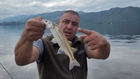 0206_pesca