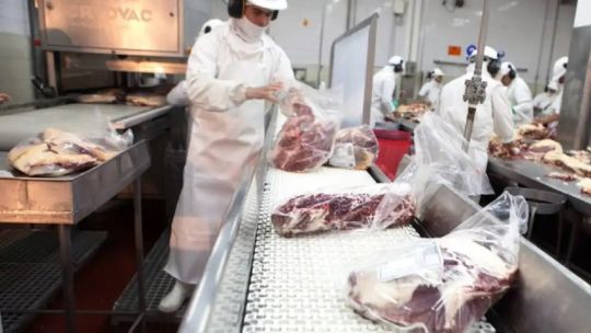 Crece la importación de carne vacuna desde Brasil: “Resulta más barato importar esa carne antes que la materia prima argentina”