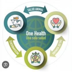 ONE HEALTH, Y LOS VETERINARIOS. | Foto:CEDOC