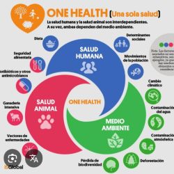 ONE HEALTH, Y LOS VETERINARIOS. | Foto:CEDOC