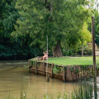 Turismo Educativo en Tigre – Sturla Viajes y Catamaranes Tigre