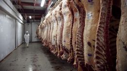 Carne vacuna
