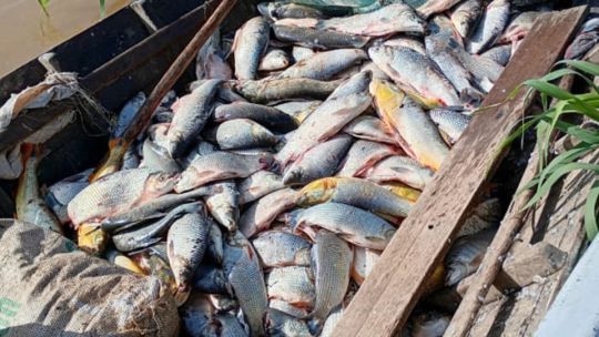 0306_pesca