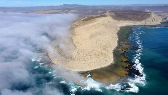 Amplían la superficie del Area Natural Protegida Punta Marqués para cuidar a su valiosa fauna