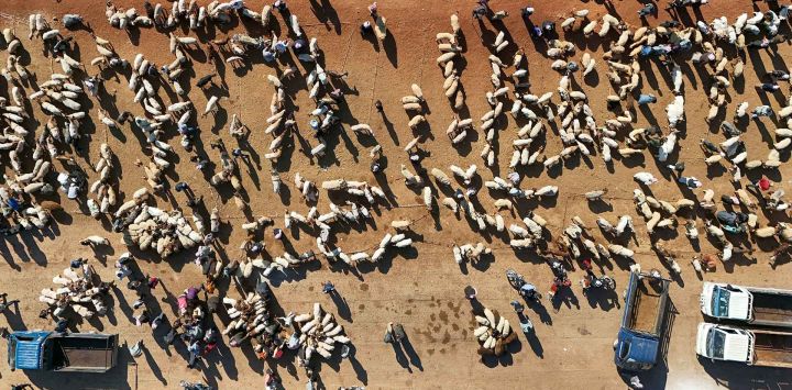 Esta fotografía aérea muestra a personas reunidas en un mercado de ganado antes de la festividad musulmana del Eid al-Adha. Foto de Abdulaziz KETAZ / AFP