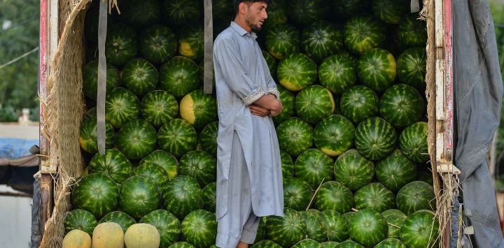 Un vendedor de fruta afgano reza mientras sube a un camión cargado de sandías en un mercado del distrito de Fayzabad. Foto de Omer Abrar / AFP