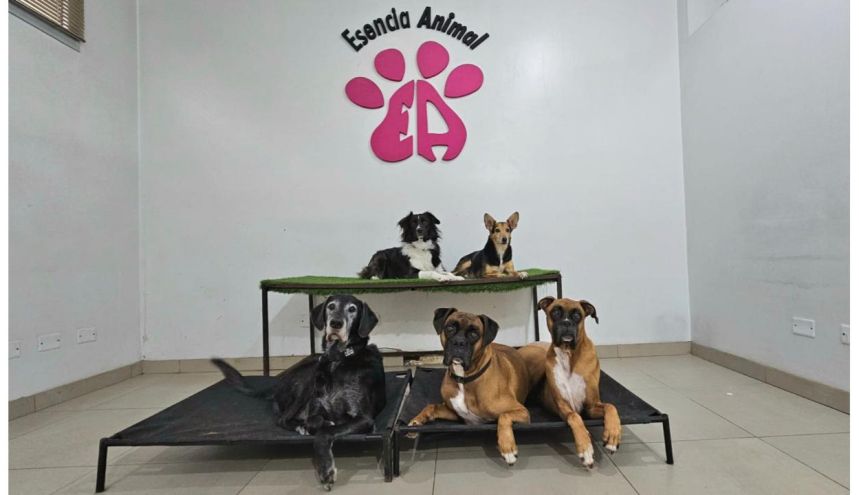 Guardería Canina Mística