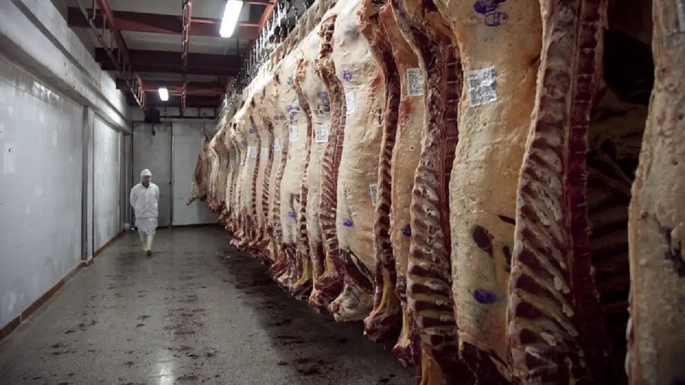 Carne vacuna