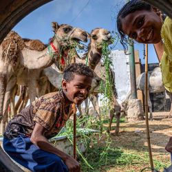 Niños junto a camellos miran a través del agujero de un neumático desechado en el mercado de camellos de Birqash, en las afueras del noreste de Giza. Foto de Khaled DESOUKI / AFP | Foto:AFP