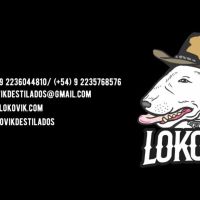 Lokovik Destilados: Pasión, calidad y reconocimiento internacional