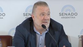 Gil Domínguez: "Cualquier persona o Estado extranjero pueden comprar toda la tierra rural donde quiera"
