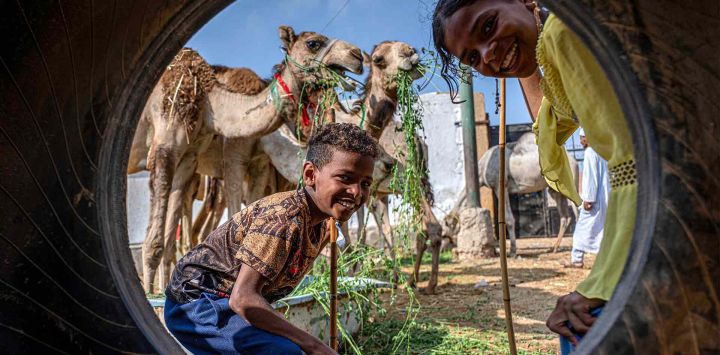 Niños junto a camellos miran a través del agujero de un neumático desechado en el mercado de camellos de Birqash, en las afueras del noreste de Giza. Foto de Khaled DESOUKI / AFP