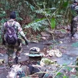 También encontraron un caballo que los cazadores usaban para trasladarse por el terreno selvático.