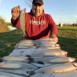 La crecida del Salado y arroyos de la zona generó aumento de nivel en muchos ámbitos. 