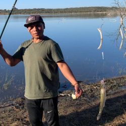 En un panorama discreto para las lagunas de San Luis, estos espejos aparecen como los más destacados de la provincia. Habrá que ver cómo se comporta el pique con las heladas y el cambio de temperatura que empezó a afectar en los últimos días. 