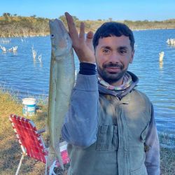 En un panorama discreto para las lagunas de San Luis, estos espejos aparecen como los más destacados de la provincia. Habrá que ver cómo se comporta el pique con las heladas y el cambio de temperatura que empezó a afectar en los últimos días. 