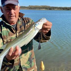 En un panorama discreto para las lagunas de San Luis, estos espejos aparecen como los más destacados de la provincia. Habrá que ver cómo se comporta el pique con las heladas y el cambio de temperatura que empezó a afectar en los últimos días. 