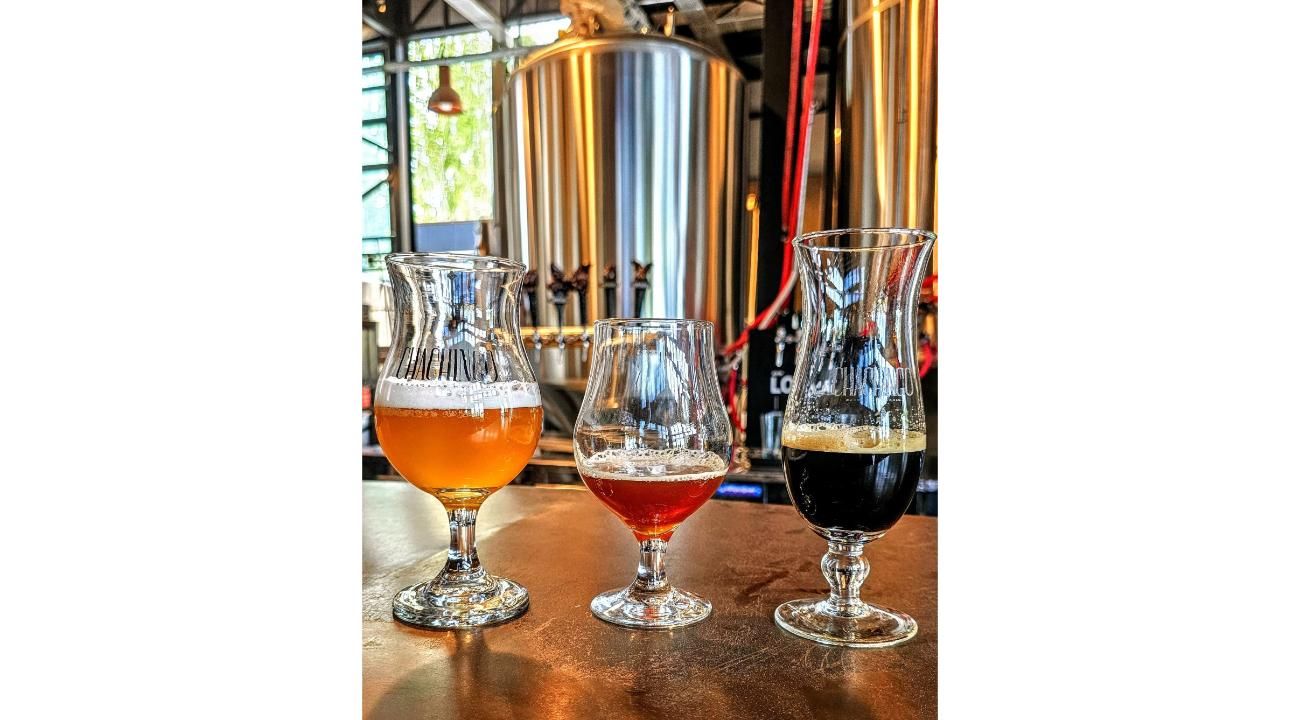 "Mendoza Beer Bus": Llega el tour cervecero de Mendoza