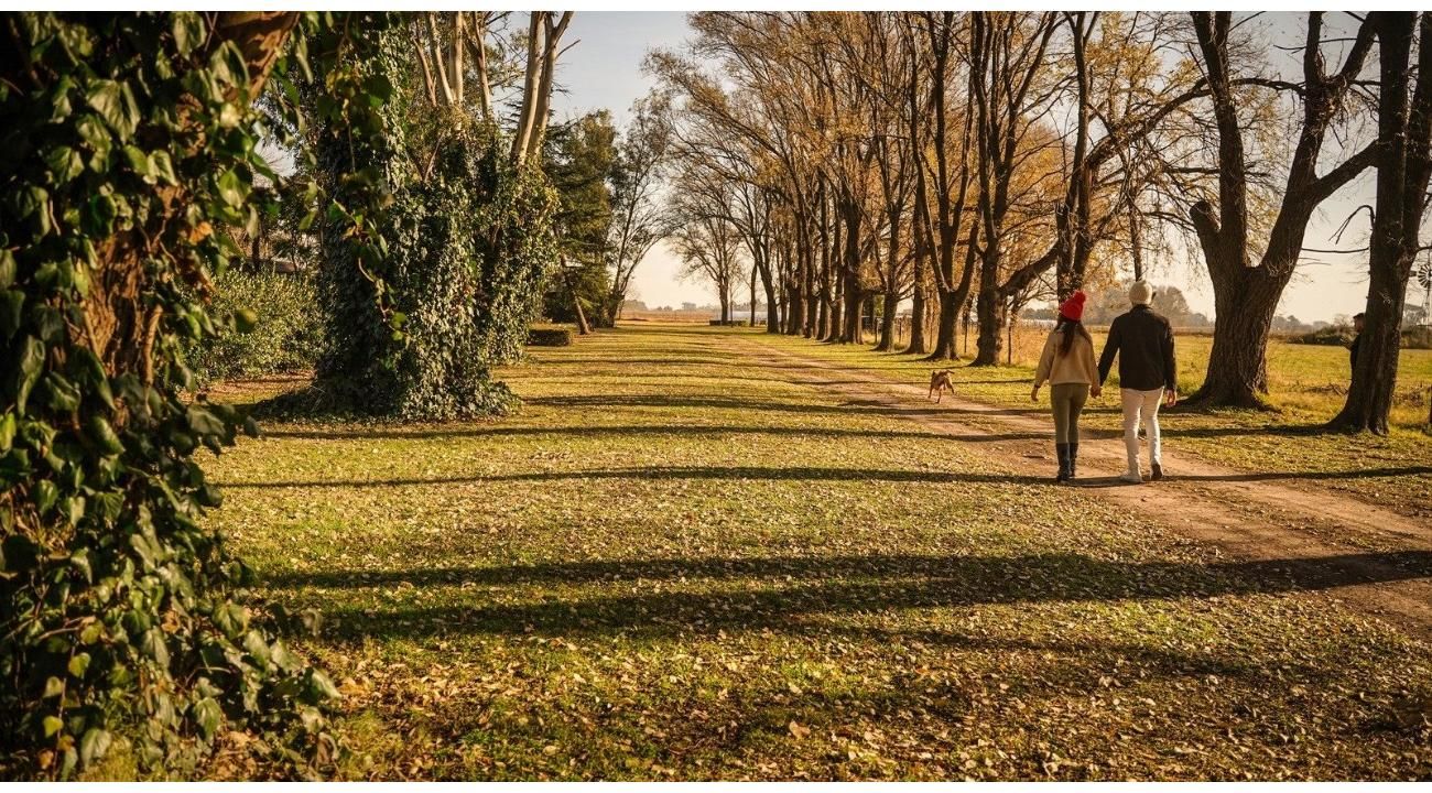 Quinta Dimensión: un refugio natural donde la familia vuelve a encontrarse.