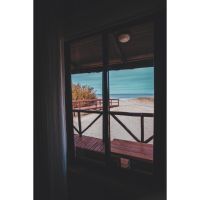 AV366 – Todo el año y un día más 