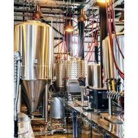 "Mendoza Beer Bus": Llega el tour cervecero de Mendoza