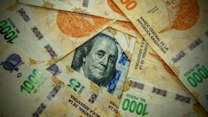 5-6-2025-Dólares y pesos 