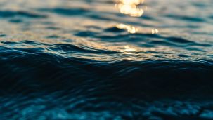 Por qué se oscurecen los océanos
