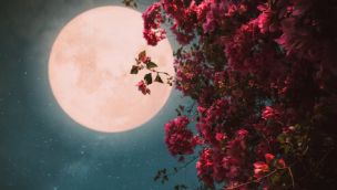 Luna de fresa