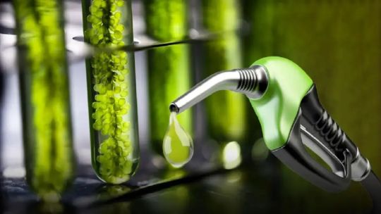 Las falencias del modelo de biocombustibles en Argentina: “Es insólito que sigamos con un modelo empobrecedor”