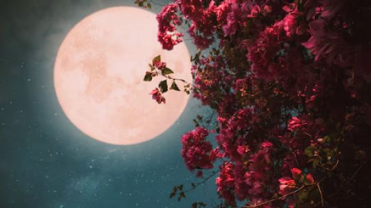 Luna de fresa